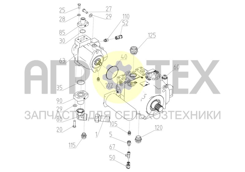 Чертеж Тандем насосов (161.09.05.510)